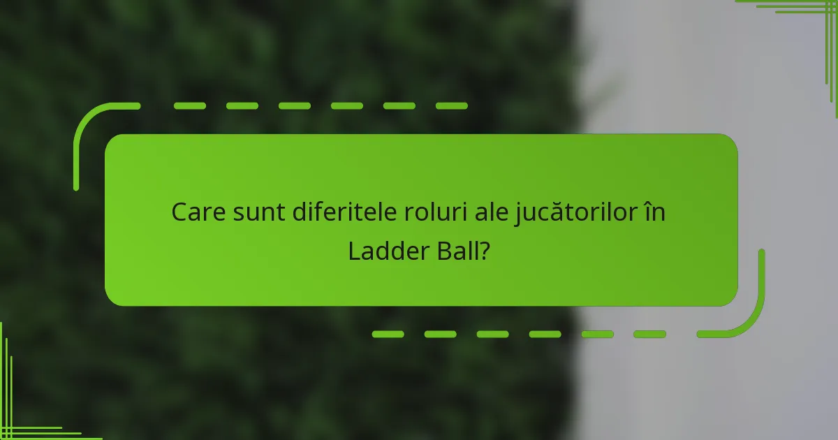 Care sunt diferitele roluri ale jucătorilor în Ladder Ball?