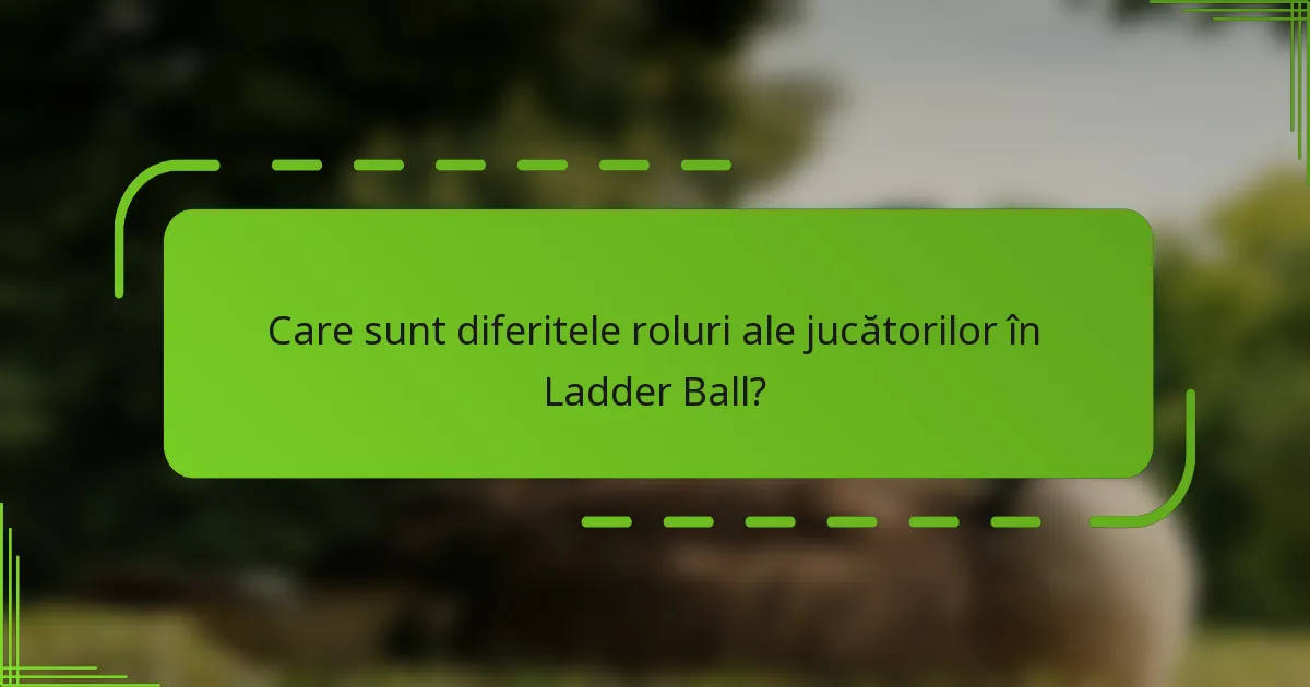 Care sunt diferitele roluri ale jucătorilor în Ladder Ball?