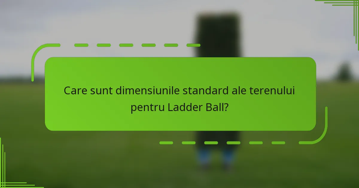Care sunt dimensiunile standard ale terenului pentru Ladder Ball?