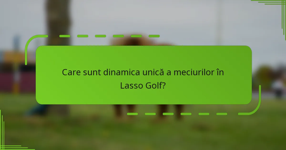 Care sunt dinamica unică a meciurilor în Lasso Golf?