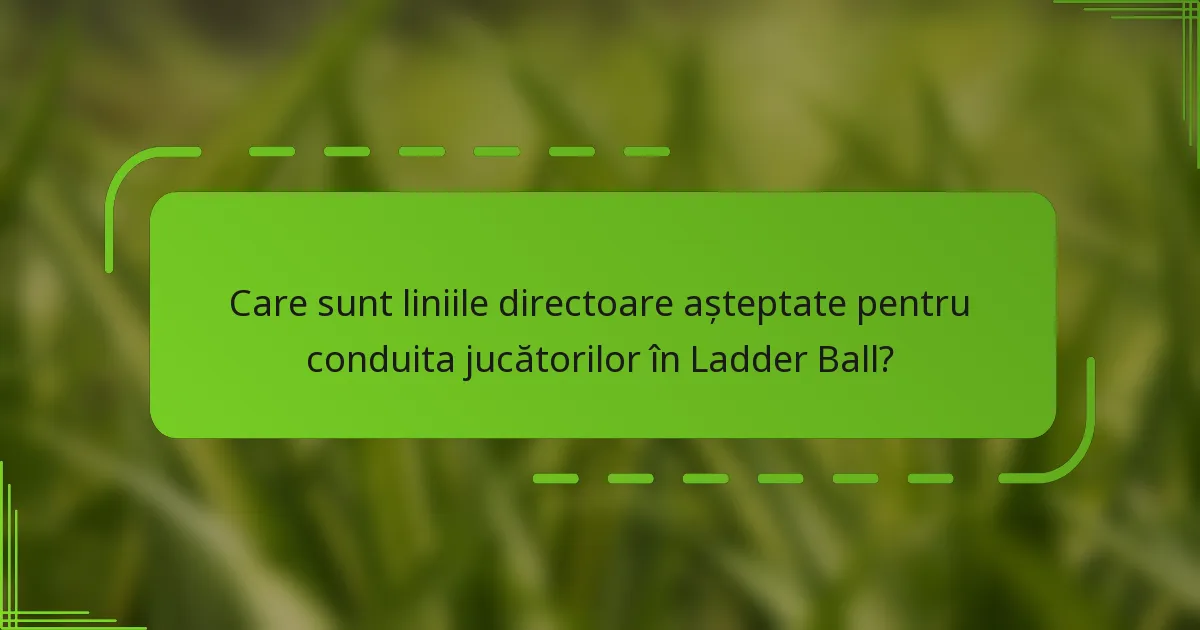 Care sunt liniile directoare așteptate pentru conduita jucătorilor în Ladder Ball?