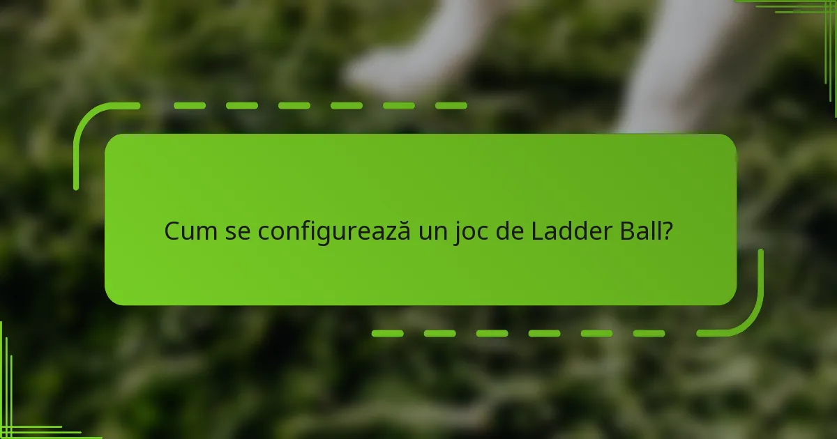 Cum se configurează un joc de Ladder Ball?